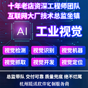 专工业视觉编程软件开发图像识别检测抓取定制分拣机械臂定位系统