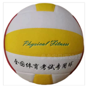 广东珠海体育中考配套专用体适能乐世排球运动训练排球正品包邮