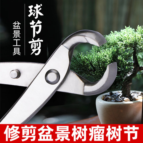 长鹿工具球节剪盆景工具