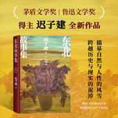 东北故事集迟子建全新作品东北迟子建额尔古纳河右岸茅盾文学奖鲁迅文学奖