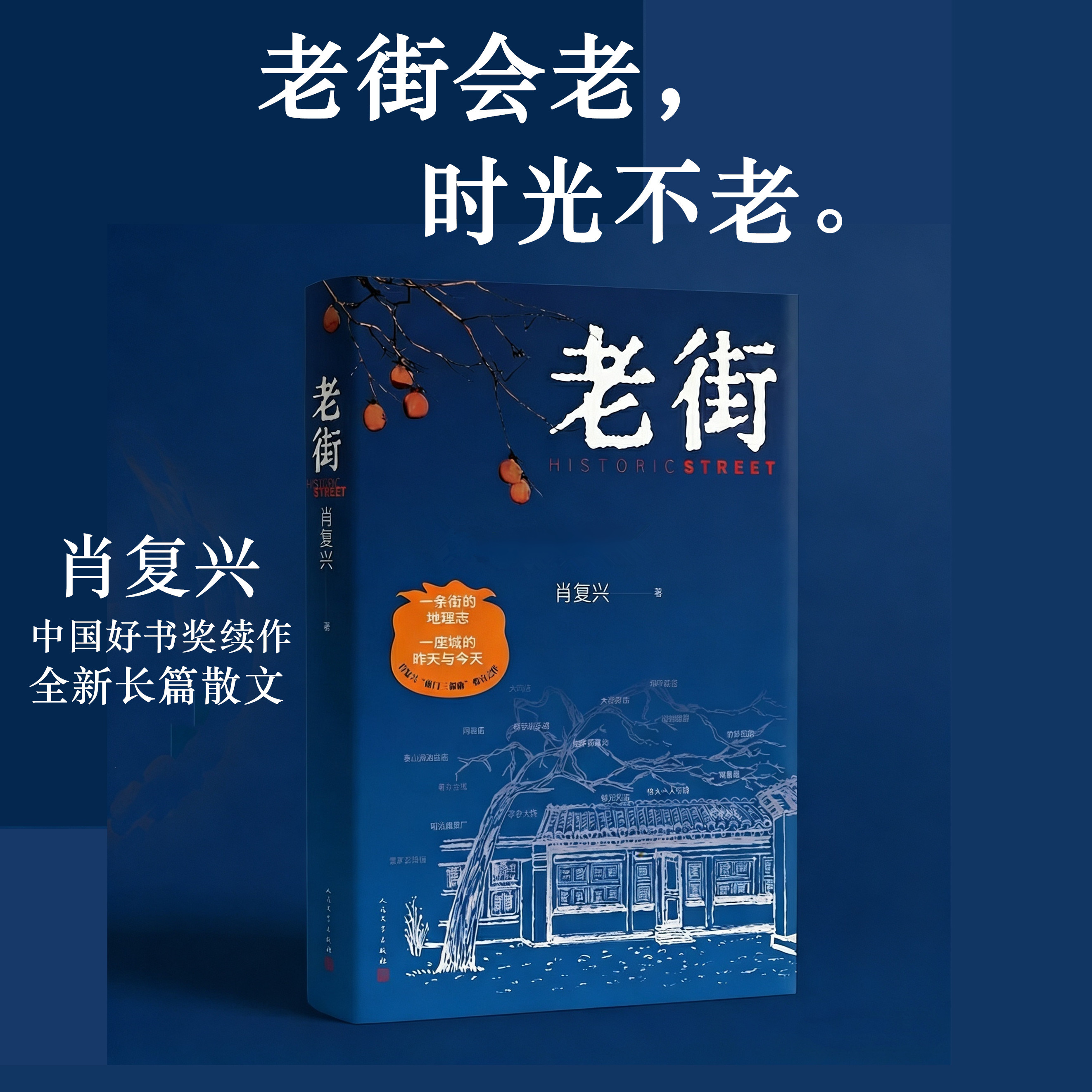 老街京味散文肖复兴新作当代文学中国文学 我们的老院蓝调城南散文老北京前门胡同知青文学