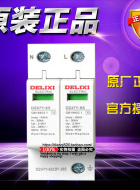 原装德力西二极浪涌避雷器DZ47Y652 DZ47Y-65/2P-385 防雷保护器