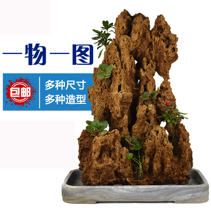 吸水石头盆景上水石水秀原石客厅中大观赏奇石真石植物假山造型石