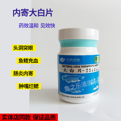 贝克灵森大白片凸眼肠炎
