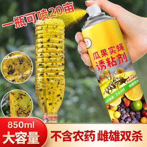 豪之盛瓜果实蝇诱粘剂物理诱粘果园果树菜地针蜂引诱剂果蝇诱捕器