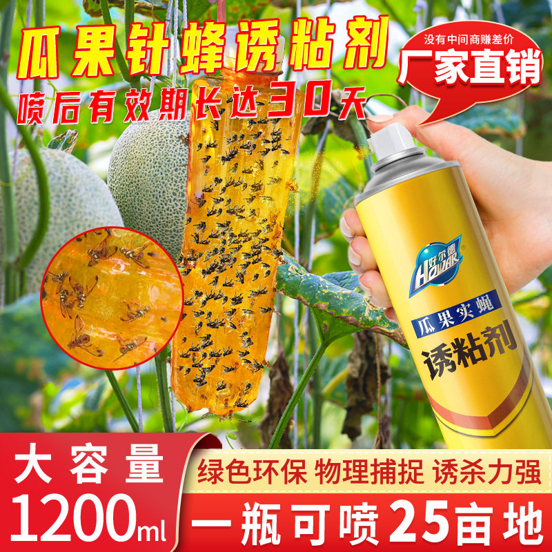 瓜果实蝇针蜂果园诱粘剂图片