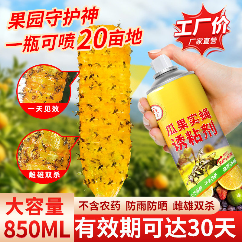 豪之盛瓜果实蝇诱粘剂果蝇诱捕器果园菜地杀虫剂灭针蜂药引诱剂