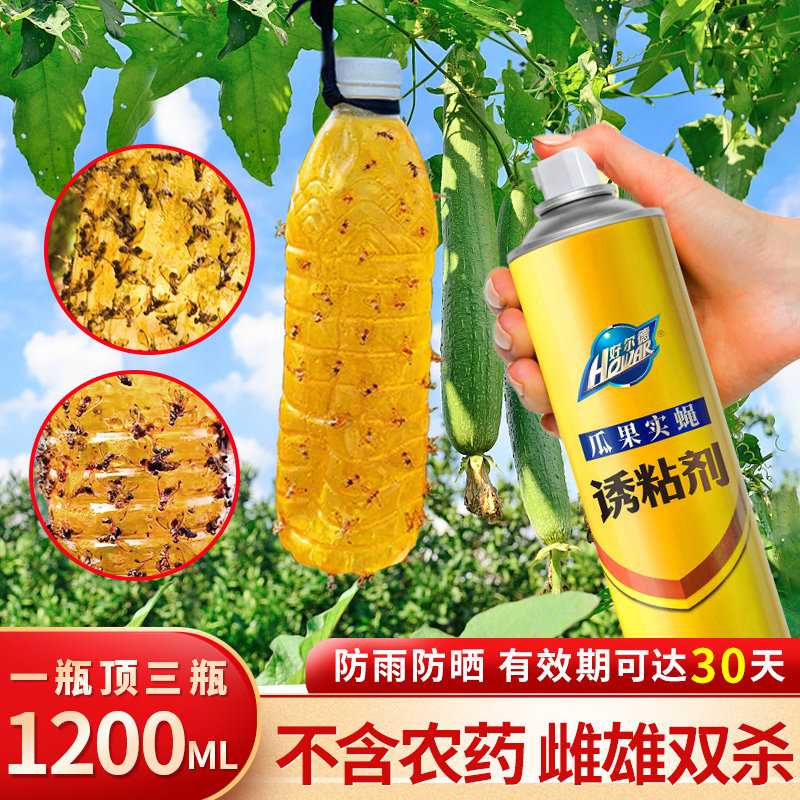 1200ML瓜果实蝇针蜂诱粘剂杀虫剂杀果蝇药粘胶果蝇诱捕器引诱剂