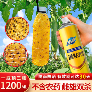 1200ML瓜果实蝇针蜂诱粘剂杀虫剂杀果蝇药粘胶果蝇诱捕器引诱剂