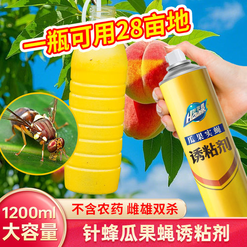 好尔德瓜果实蝇诱粘剂