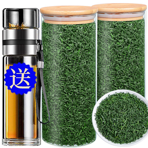 2026新茶绿茶玻璃罐装500g送杯子