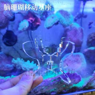 脑类珊瑚基座亚克力海水繁殖底座八子富士脑飞盘软体提升台抬高架