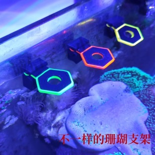 强磁荧光珊瑚断肢架吸悬浮托盘T型基座硬骨软体发光亮六角单孔架