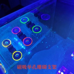 单孔磁吸珊瑚支架海缸软体硬骨基座摆件荧发光迷你景繁殖基座支架