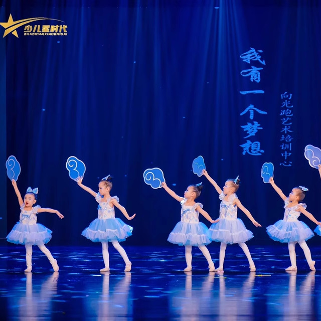 我有一个梦想儿童舞蹈演出服装幼儿园女童可爱蓬蓬纱裙亮片公主裙