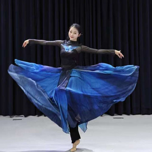 古典舞服装新款印花网纱上衣渐变飘逸大摆裙中国舞蹈服练功表演服