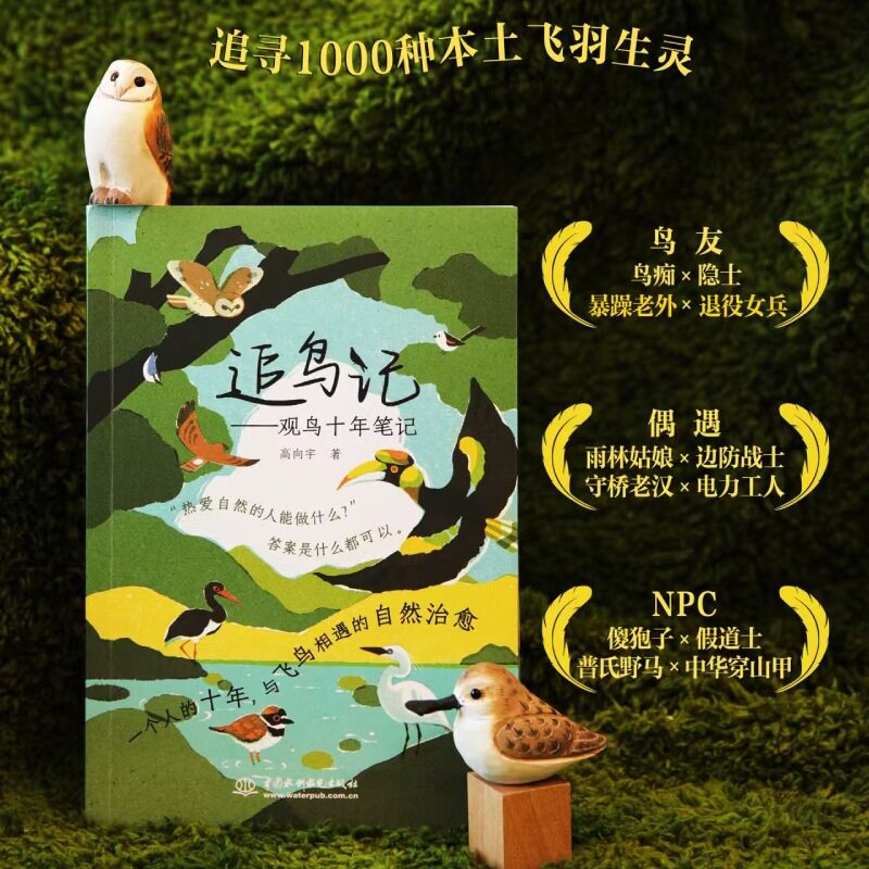追鸟记高向宇1000种本土飞羽