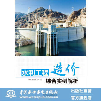 正版水利工程造价综合实例解析