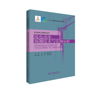 风电功率预测技术与实例分析(风力发电工程技术丛书)9787517042129中国水利水电王桓 徐龙博 主编 周冰 张治频 副主编