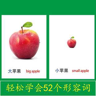 形容词儿童认知卡片句子反义词相对词中英文版幼儿早教训练教具