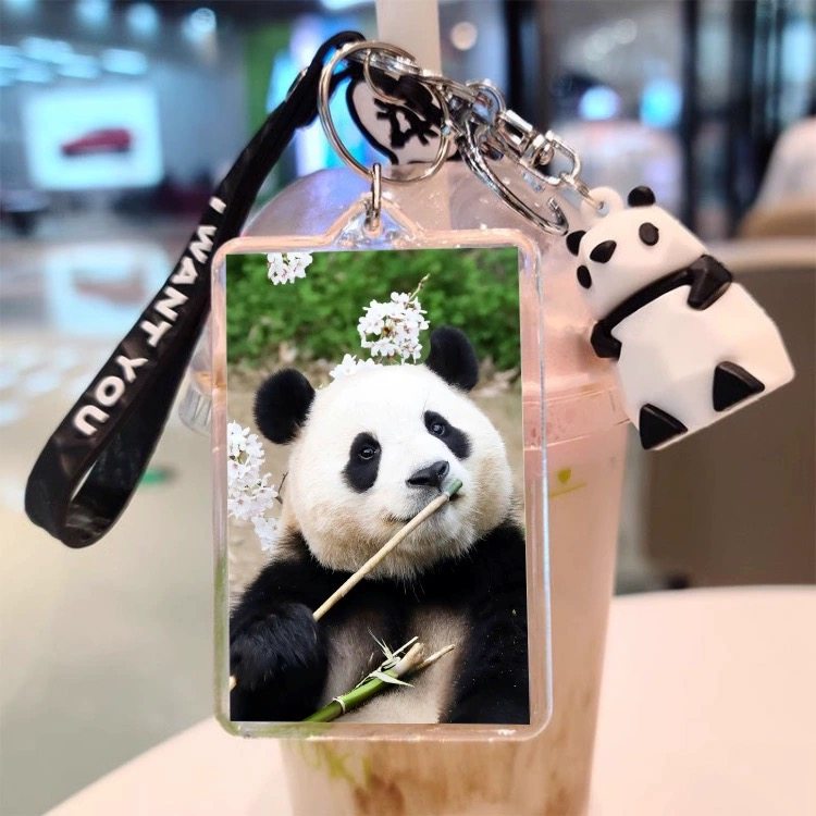 熊猫福宝萌兰花花周边文创礼物