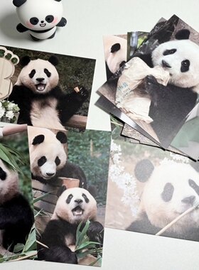 大熊猫福宝萌兰花花合集明信片18张一套可爱写真纪念品礼品