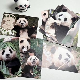 大熊猫福宝萌兰花花合集明信片18张一套可爱写真纪念品礼品