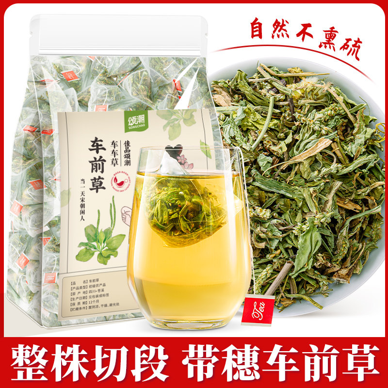 车前草新鲜干货搭金钱草甘草
