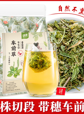 车前草干货金钱草甘草蒲公英夏枯草猫爪草非中药材袋泡茶