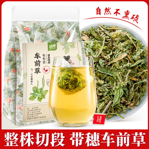 车前草新鲜干货搭金钱草甘草