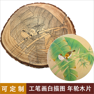 中式工笔画白描泡桐年轮木片花鸟圆木片临摹底稿白描稿手绘年轮画