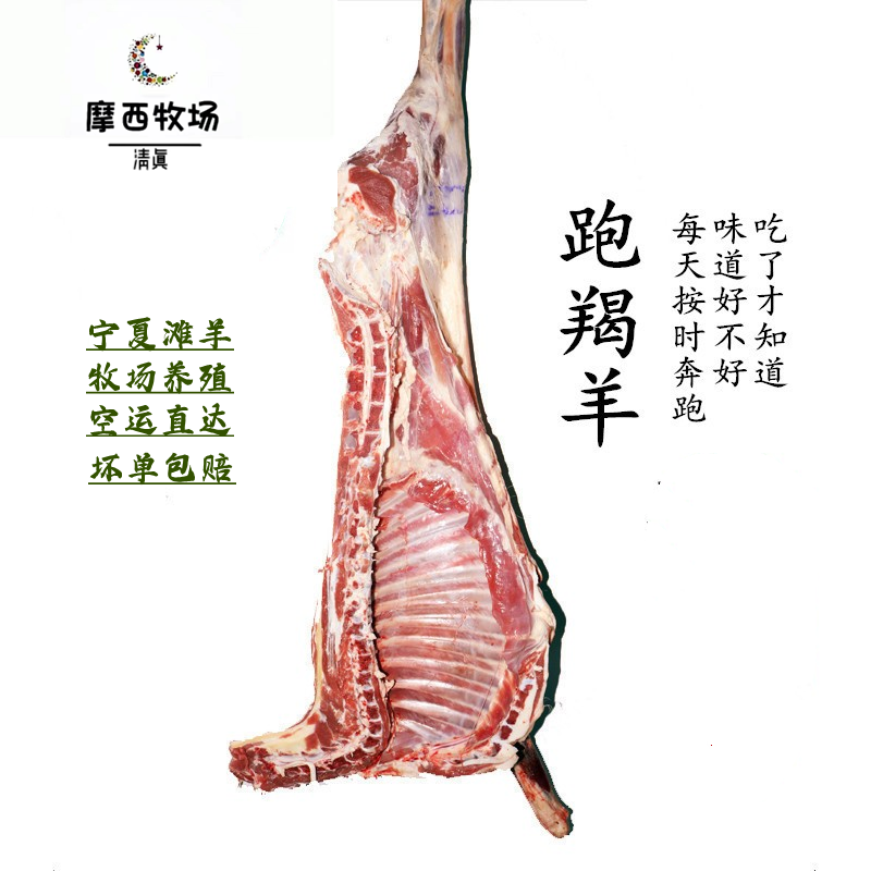 宁夏跑滩羊盐池羯羊 羊排羊后腿羊蝎子羊脖子 现宰 无膻味   清真