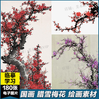 国画水墨画泼墨寒梅梅花傲雪画古风写意工笔临摹绘画装饰图片素材