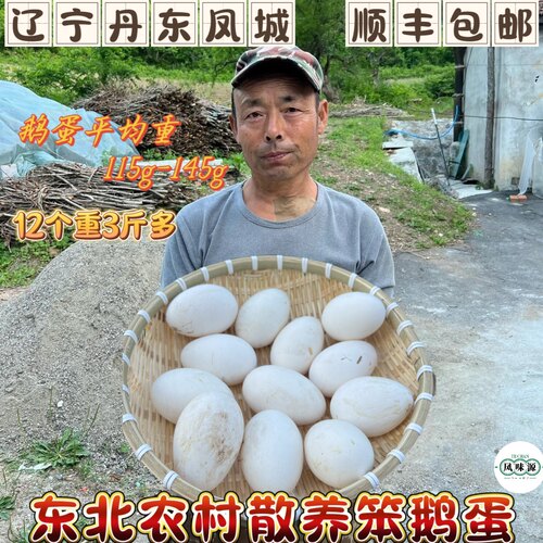 丹东农家散养土鹅蛋12个