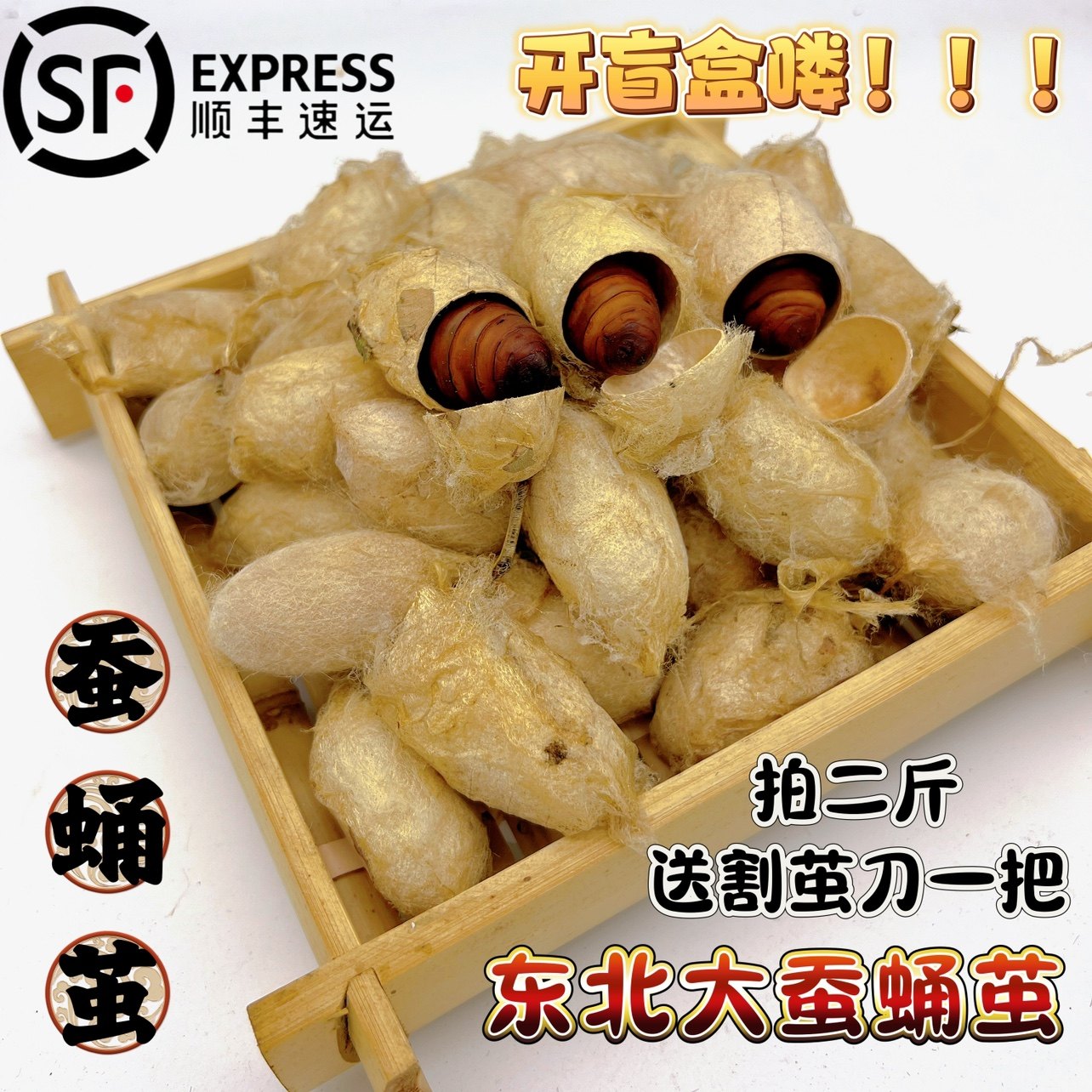 25年东北鲜活新鲜大茧蚕蛹茧带壳发货茧蛹子黄蚕蛹黑蚕蛹带壳发货