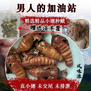野生雄蚕蛾酒公蛾泡酒料柞蚕原蚕蛾公男性滋补品未交尾公蛾酒