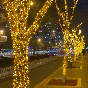 户外氛围灯树灯景观灯挂树上的彩灯串满天星太阳能led灯带缠树灯