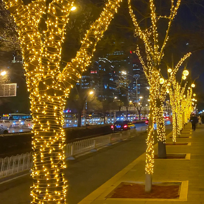户外氛围灯树灯景观灯挂树上灯串