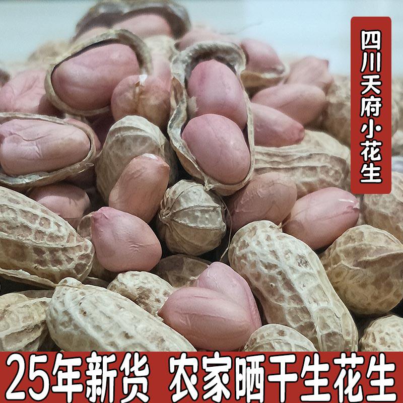 25年新鲜晒干生花生 农家自种带壳粉白皮红皮花生天府花生5斤包邮