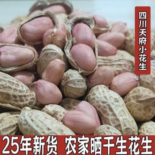 25年新鲜晒干生花生 农家自种带壳粉白皮红皮花生天府花生5斤包邮