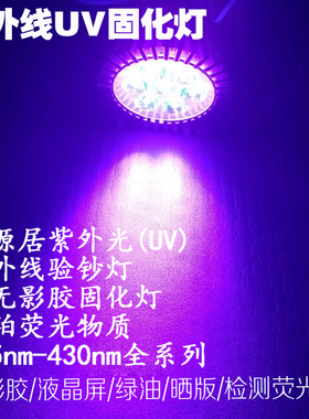 大功率紫外线验钞灯LED紫光UV固化灯/紫色UV美甲荧光物检测照琥珀