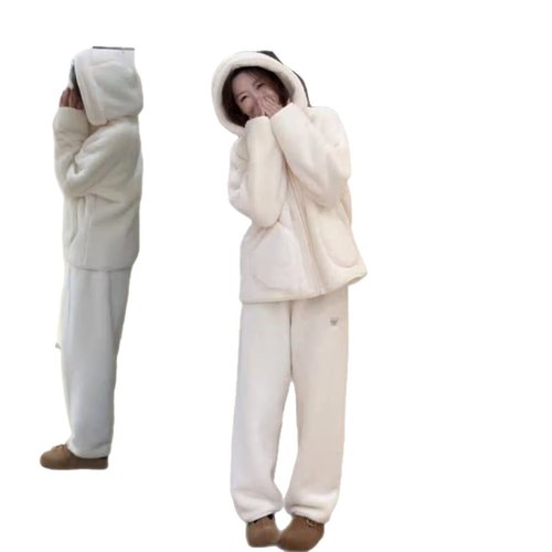 欧货两件套双面珊瑚绒套装2025秋冬新款立领家居服毛茸茸连帽外套