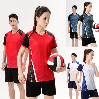 2024新款速干气排球服女套装上衣羽毛球服男定制成人手球队服班服