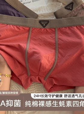 生蚝精10A级男士内裤纯棉四角裤运动抗菌高弹透气男生平角内裤