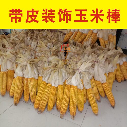 玉米棒红辣椒仿真大蒜农家乐