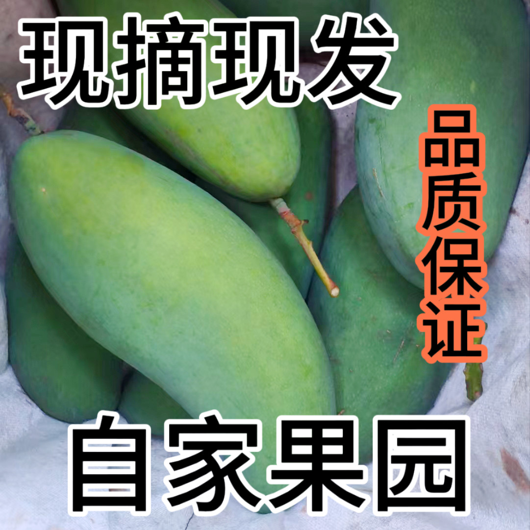 攀枝花金煌芒果新鲜当季自家种植孕妇大青芒生吃现摘现发