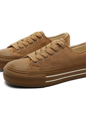 小众帆布鞋男鞋2025新款美拉德硫化潮鞋厚底超火高街美式黑色板鞋