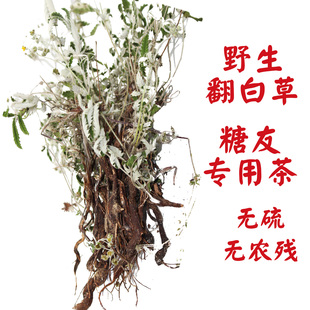 野生翻白草降糖友专用茶中药500g整根切段中药材泡水喝