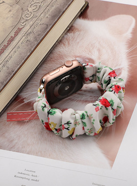 适用Apple Watch11大肠发圈表带苹果手表s10创意9876SE45弹力腕带