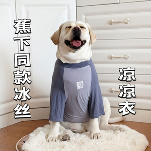 薄款 拉布拉多衣服夏季 冰丝衣服大型犬凉感防晒凉凉衣防掉毛空调服